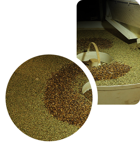 Thara Coffee Process Curing